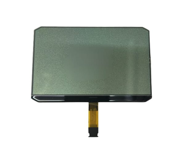 Ntorq meter display